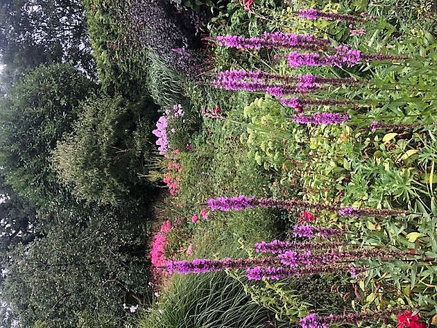 Imke’s tuin Emmen