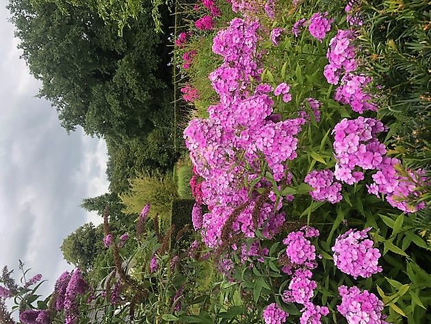 Imke’s tuin Emmen