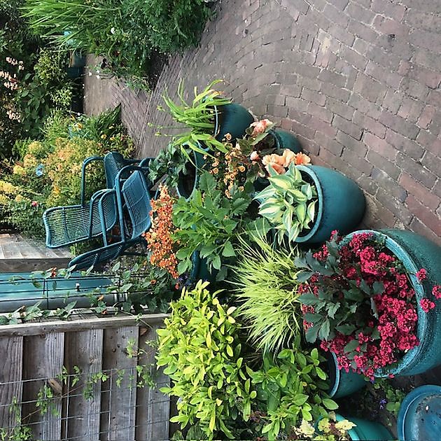 Imke’s tuin Emmen