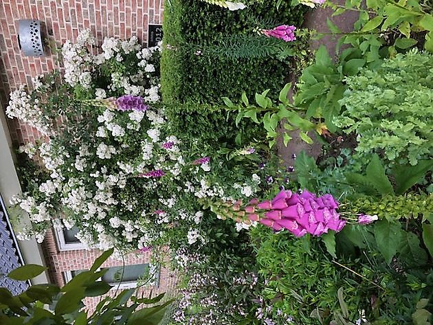 Imke’s tuin Emmen