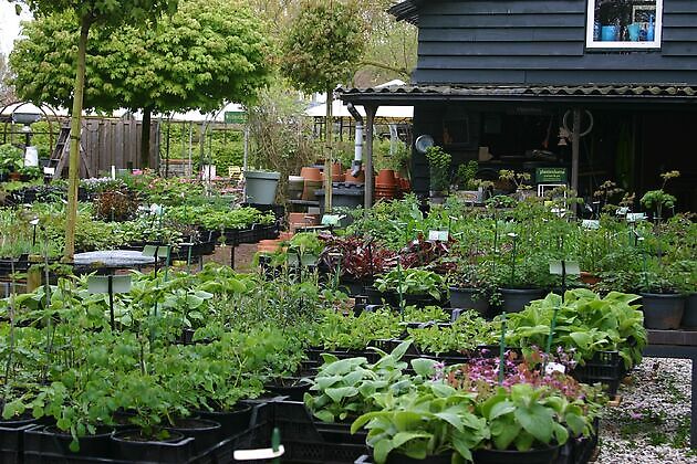 De Luie Tuinman Ruinen