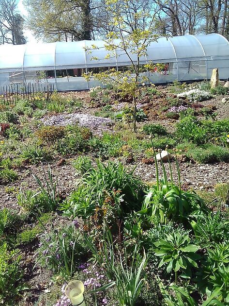 Hortus mille Plantarum (Tuin van Duizend Planten) Wietmarschen