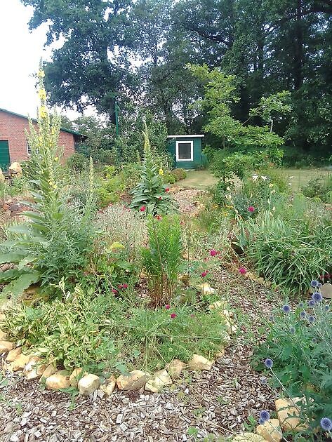 Hortus mille Plantarum (Tuin van Duizend Planten) Wietmarschen