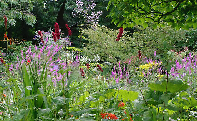 Tuin Marie-José Tepe Eelde