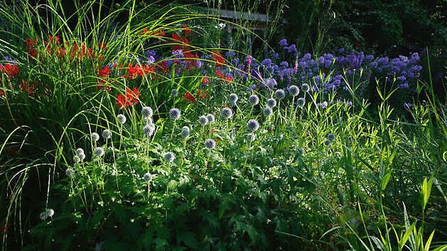 Tuin Marie-José Tepe Eelde