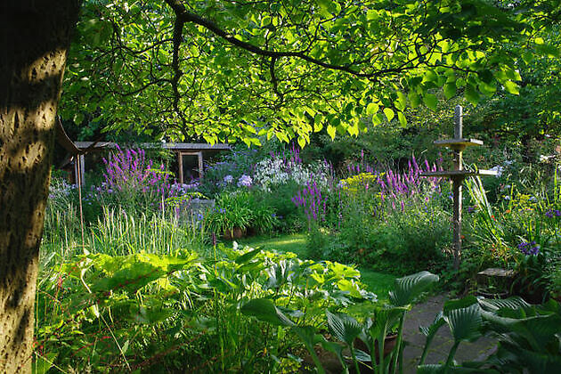 Tuin Marie-José Tepe Eelde
