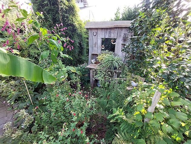Garten zum grünen Daumen Lingen