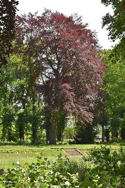 Veenborg Welgelegen Sappemeer