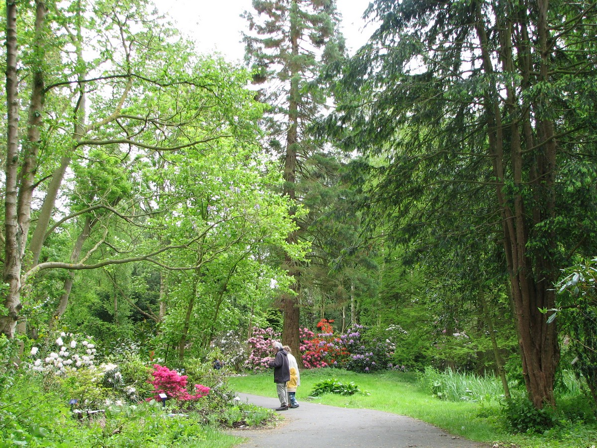 Arboretum Notoarestoen - Het Tuinpad Op / In Nachbars Garten