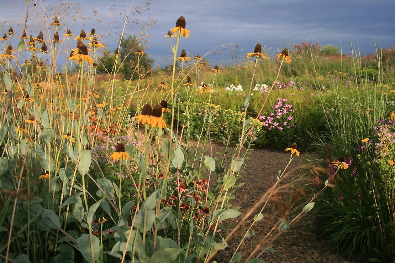 Lianne’s Siergrassen - Het Tuinpad Op / In Nachbars Garten