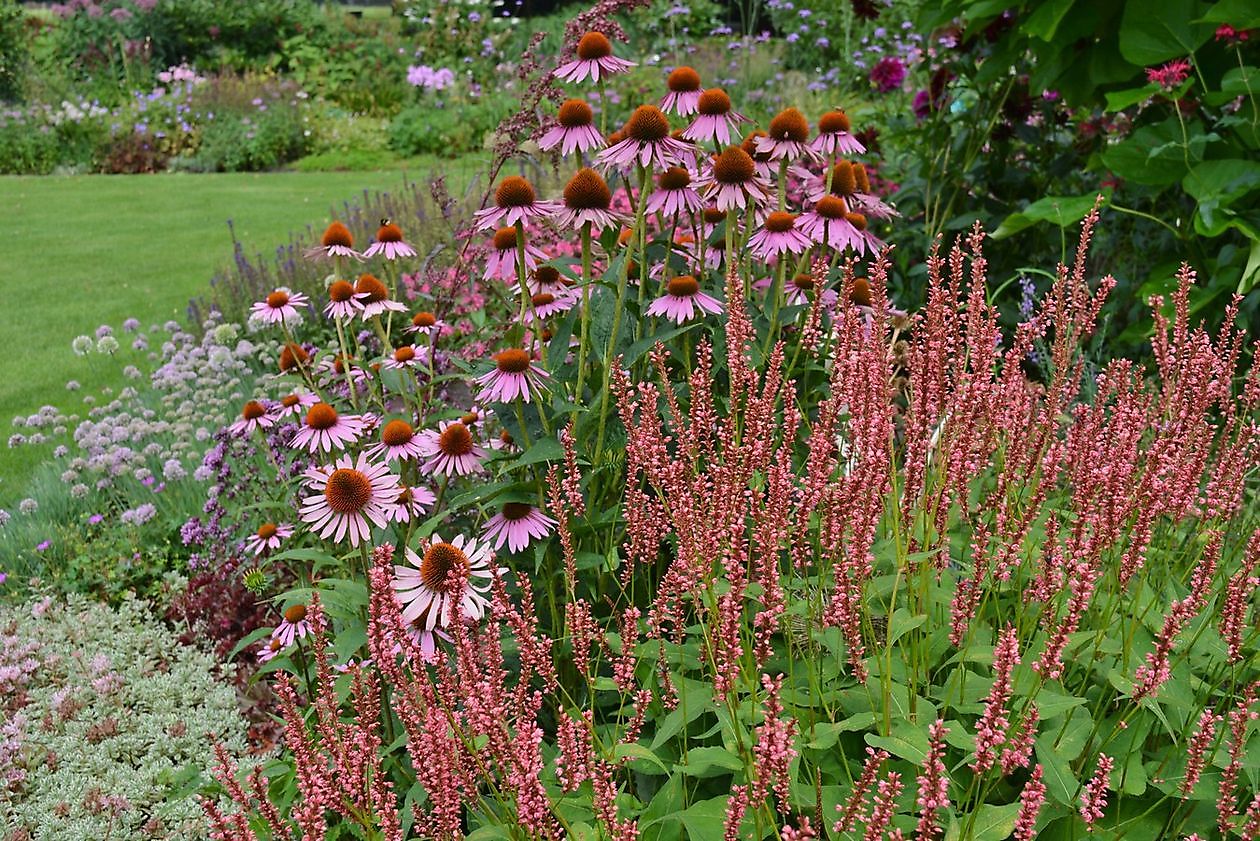 Vechtetaltuin - Het Tuinpad Op / In Nachbars Garten