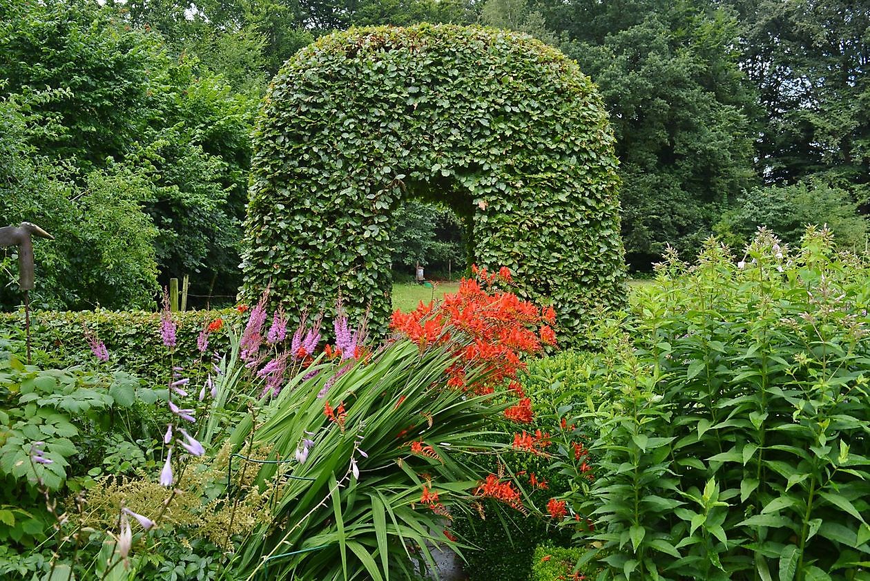 Garten Elke & Manfred Meins - Het Tuinpad Op / In Nachbars Garten