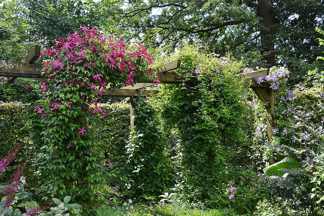Garten Elke & Manfred Meins - Het Tuinpad Op / In Nachbars Garten