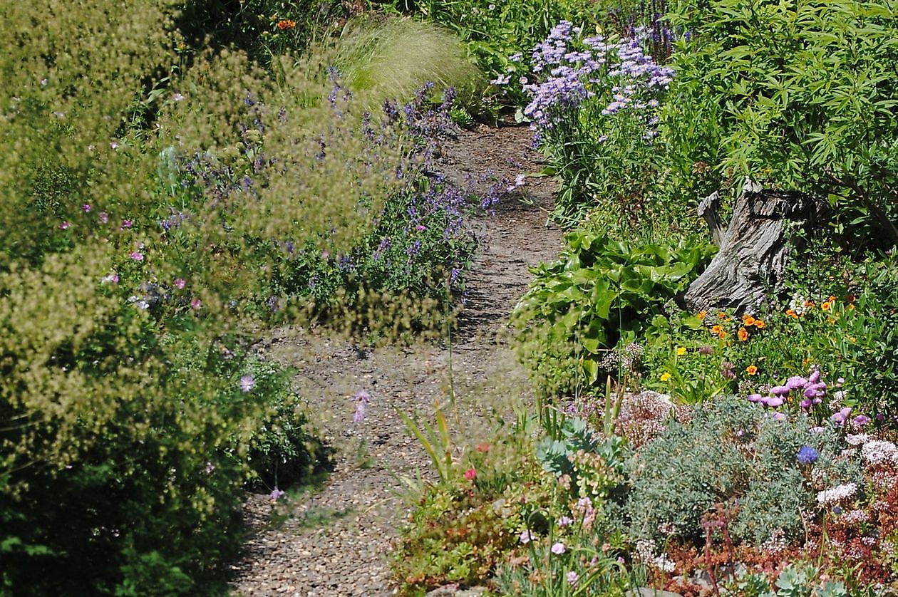 Jan & Ivonne Wieringa - Het Tuinpad Op / In Nachbars Garten