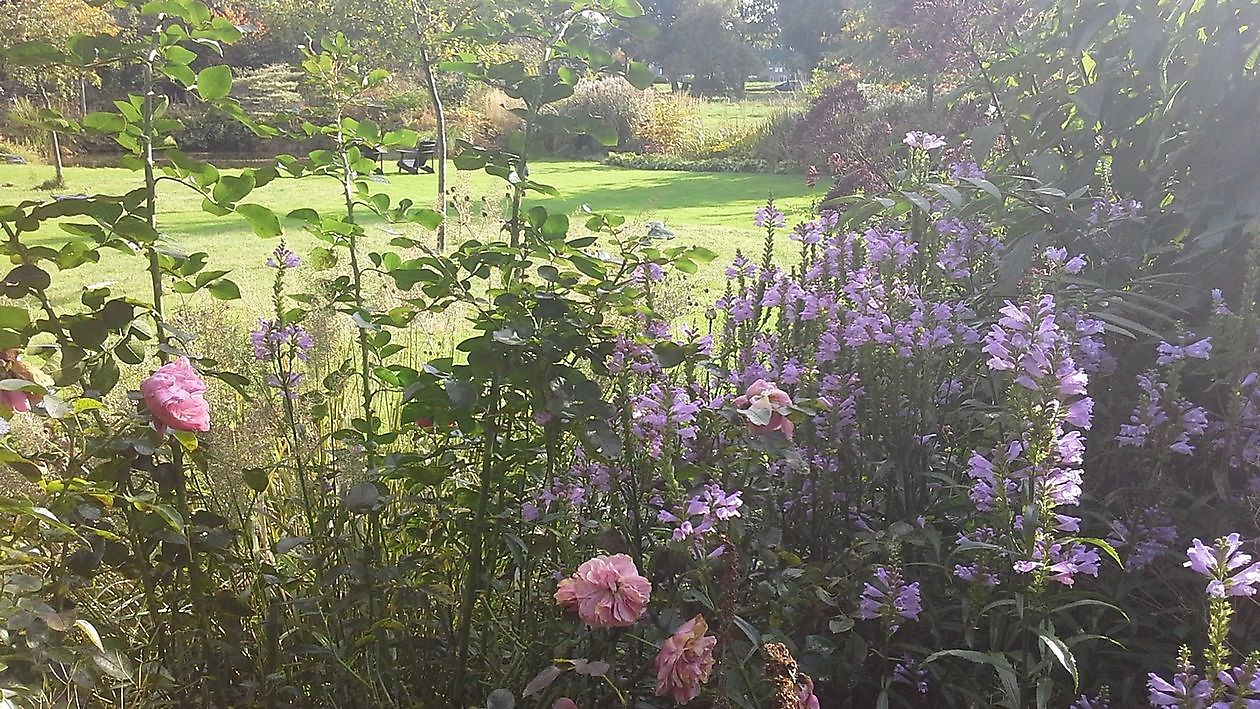 Tuindoenerij ‘t Vlijtig Loesje - Het Tuinpad Op / In Nachbars Garten