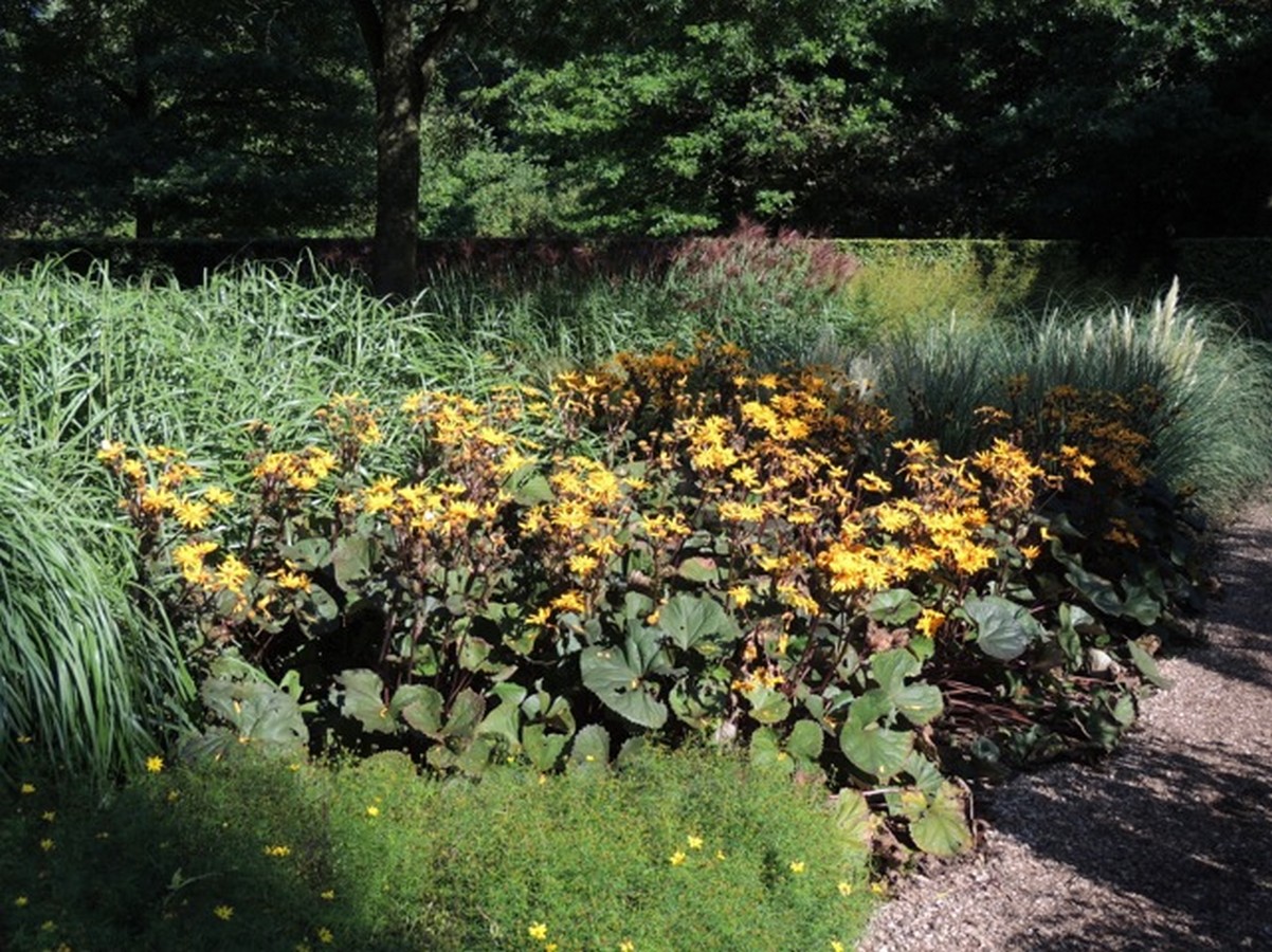  - Het Tuinpad Op / In Nachbars Garten