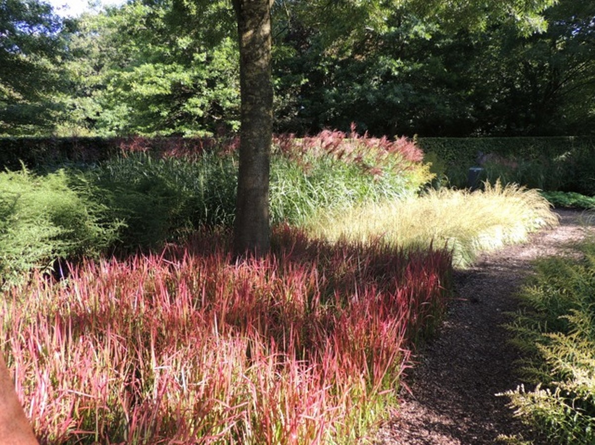  - Het Tuinpad Op / In Nachbars Garten