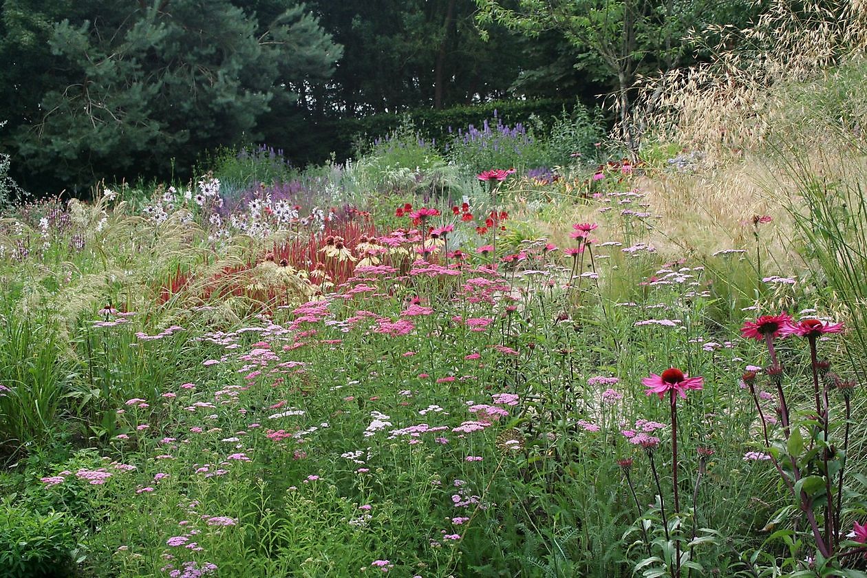 Tuingoed Foltz - Het Tuinpad Op / In Nachbars Garten