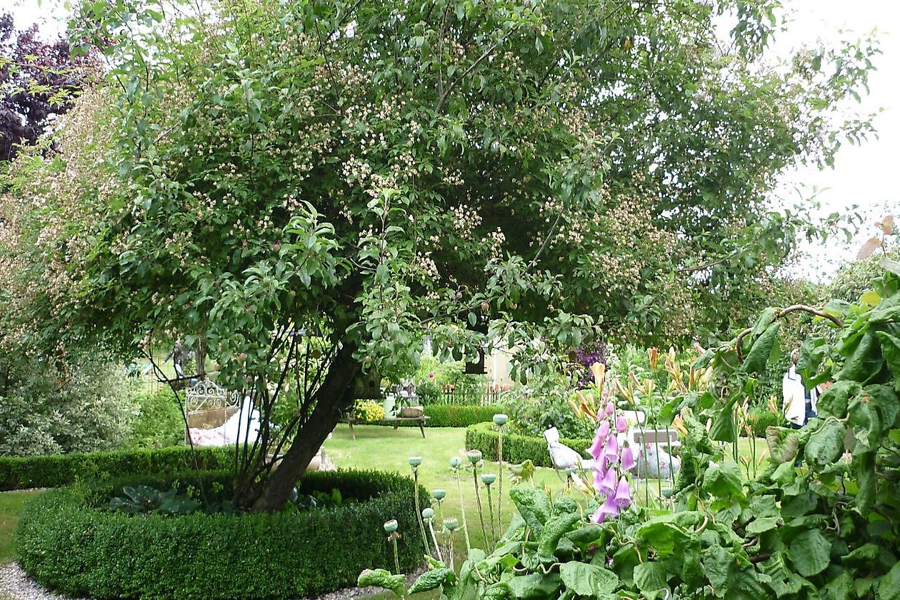 Der versteckte Garten am Jadebusen - Het Tuinpad Op / In Nachbars Garten