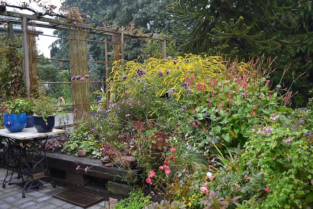 De Groene Weelde - Het Tuinpad Op / In Nachbars Garten