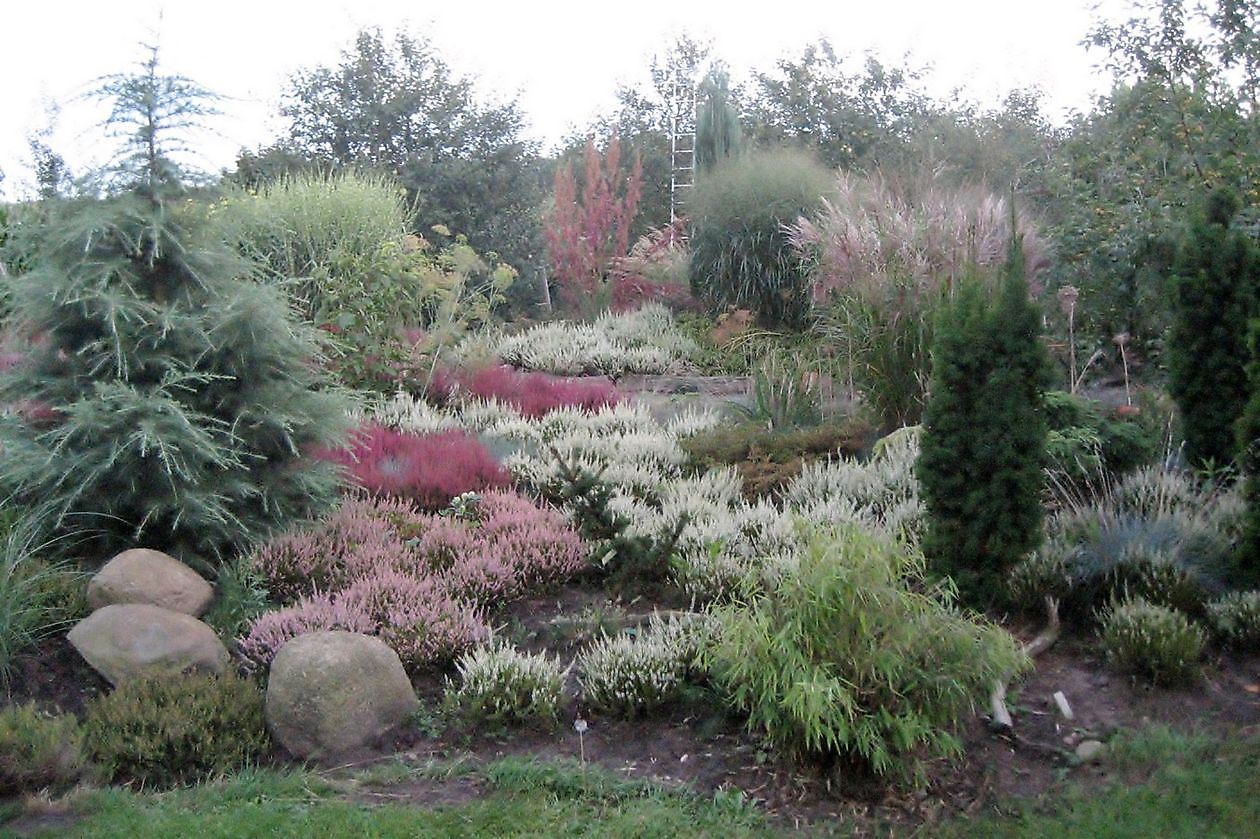 Stauden-Oase - Het Tuinpad Op / In Nachbars Garten