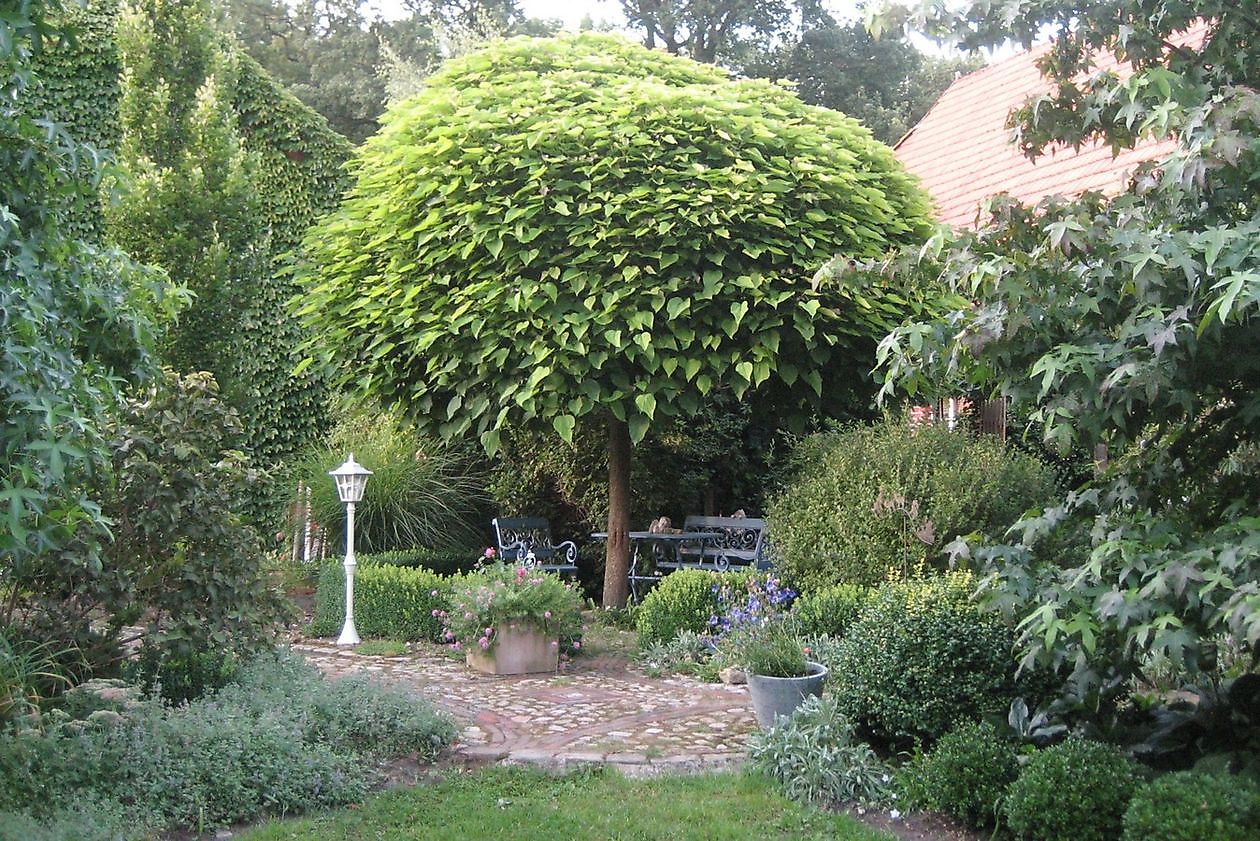 Stauden-Oase - Het Tuinpad Op / In Nachbars Garten