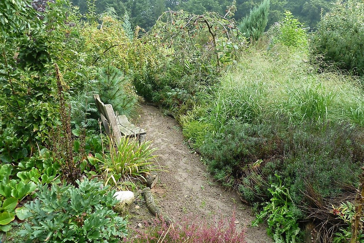 Stauden-Oase - Het Tuinpad Op / In Nachbars Garten