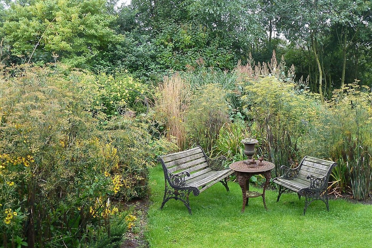 Stauden-Oase - Het Tuinpad Op / In Nachbars Garten