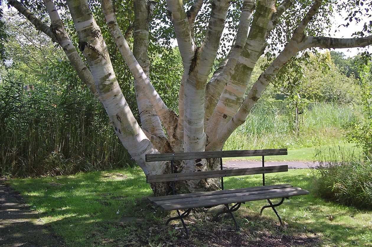 Hortus Haren - Het Tuinpad Op / In Nachbars Garten