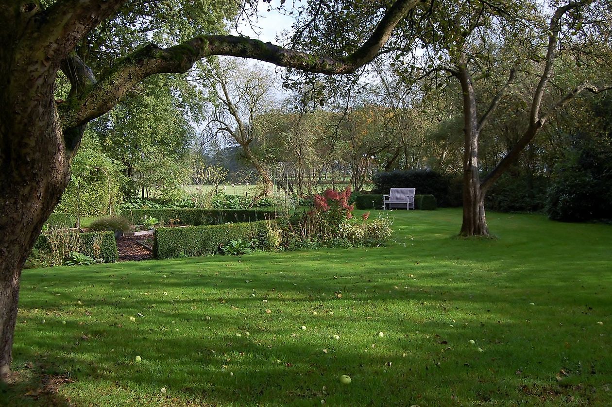 De Tuin van Joke Kuiperij - Het Tuinpad Op / In Nachbars Garten