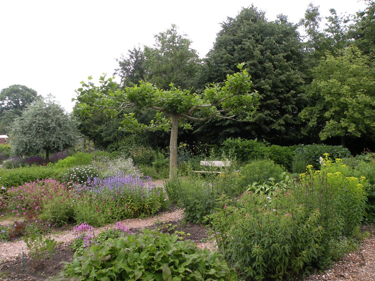 Tuingoed Foltz - Het Tuinpad Op / In Nachbars Garten