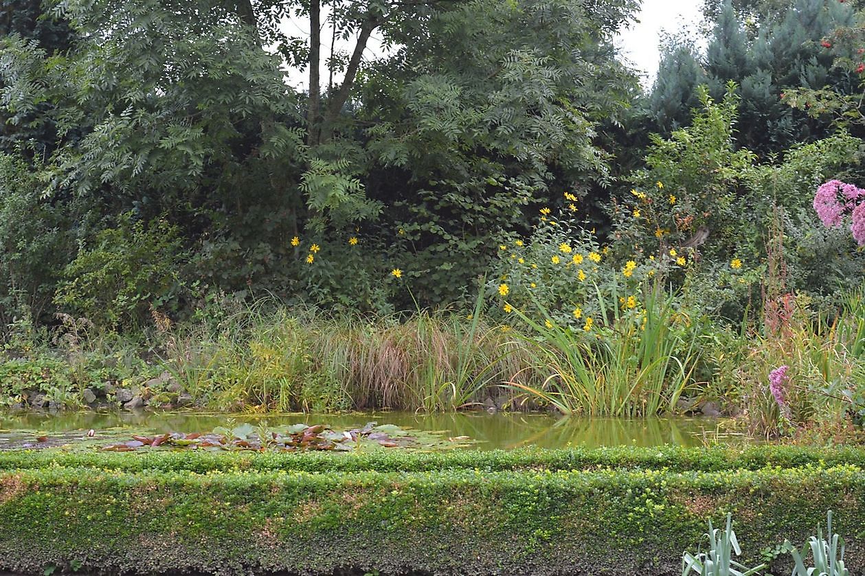 Bauerngarten des Heimatvereins Oberlangen - Het Tuinpad Op / In Nachbars Garten