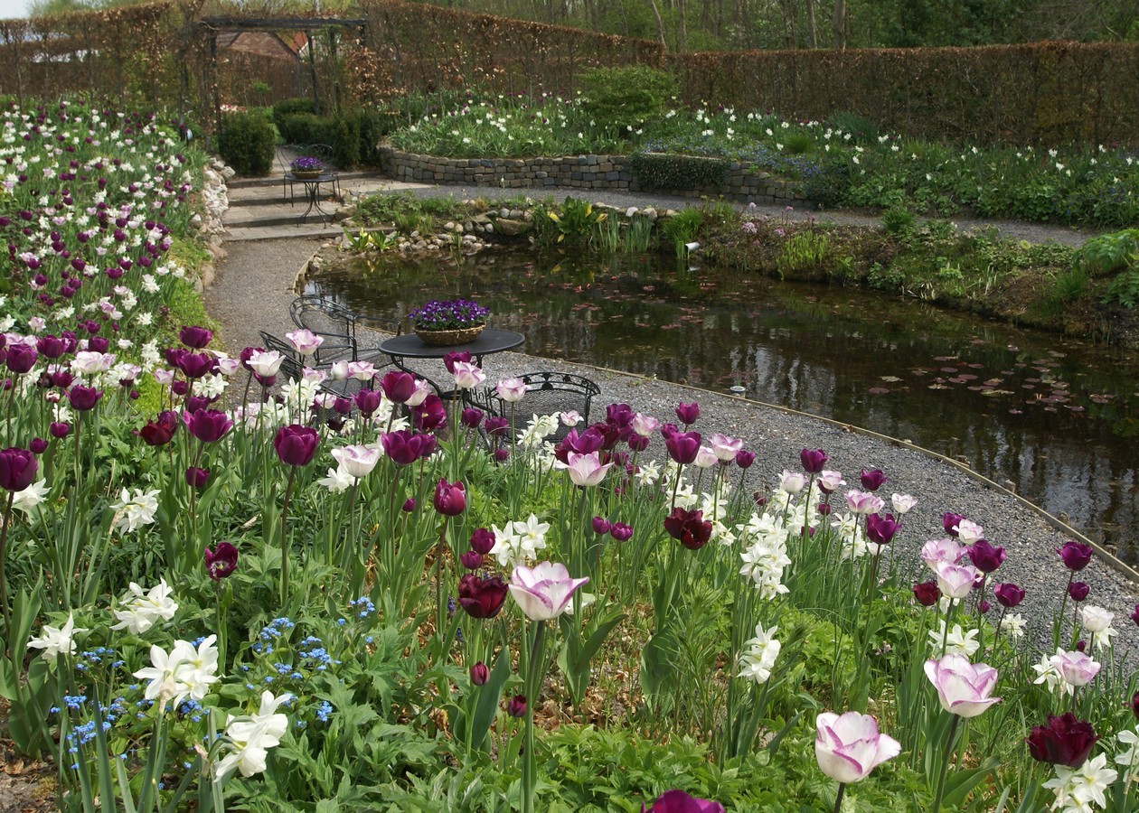 Tuinfleur - Het Tuinpad Op / In Nachbars Garten