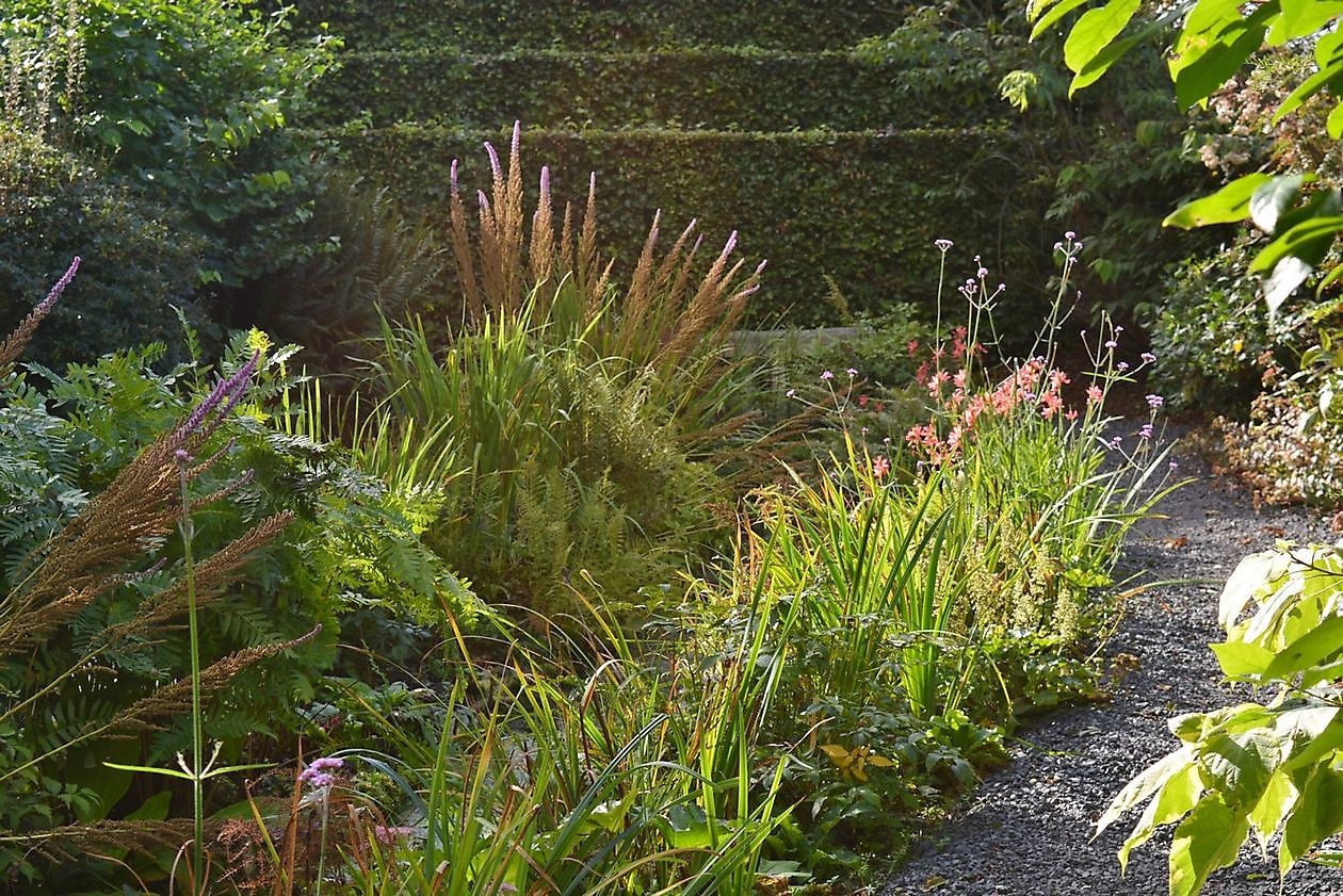 Tuinfleur - Het Tuinpad Op / In Nachbars Garten