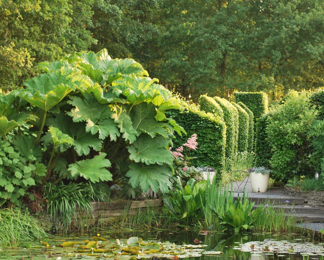 Tuinfleur - Het Tuinpad Op / In Nachbars Garten