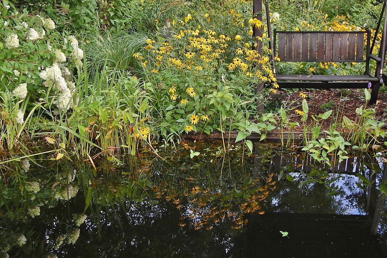 Wassergarten - Het Tuinpad Op / In Nachbars Garten