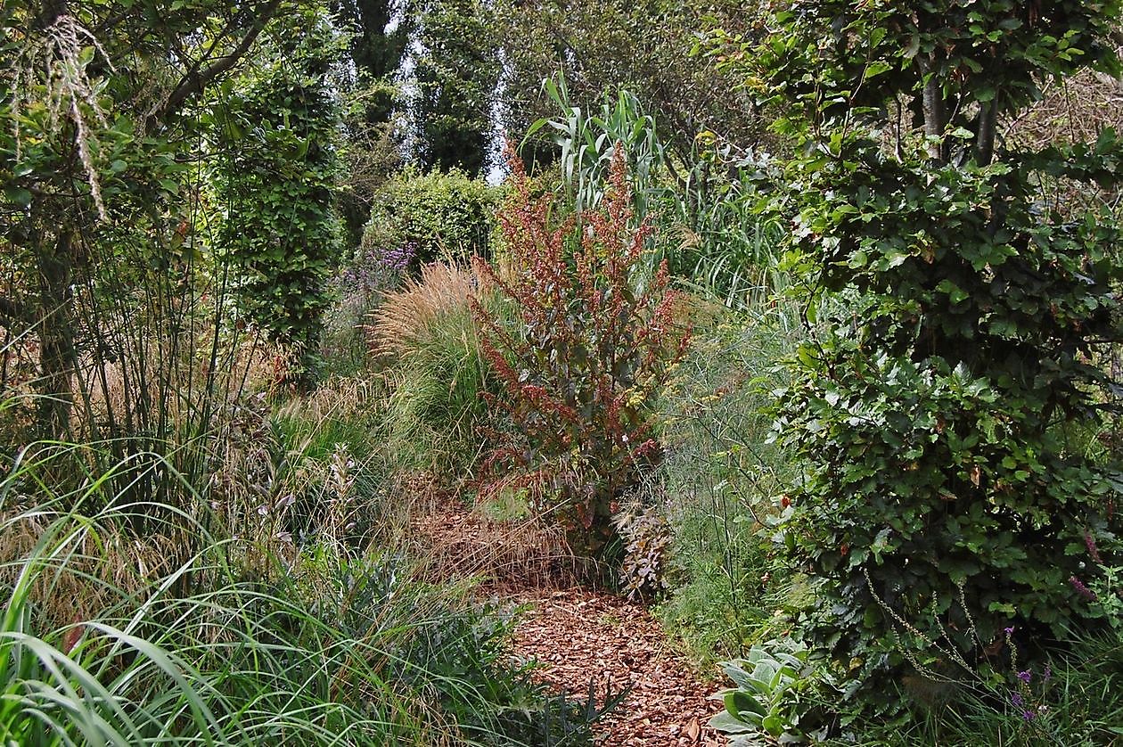 Kwekerij en Kijktuin Aan de Dijk - Het Tuinpad Op / In Nachbars Garten