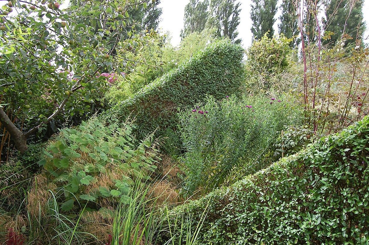 Kwekerij en Kijktuin Aan de Dijk - Het Tuinpad Op / In Nachbars Garten