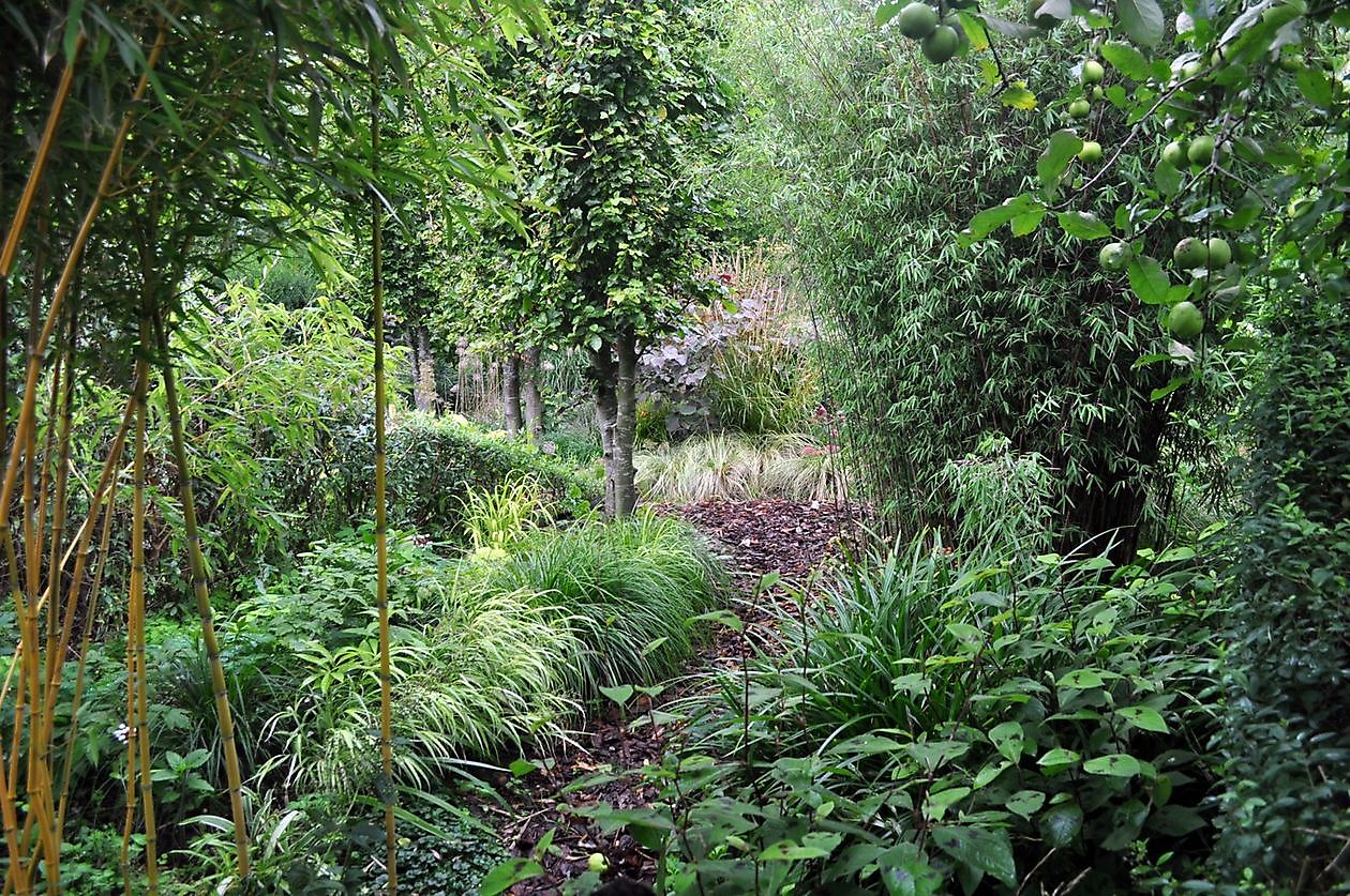 Kwekerij en Kijktuin Aan de Dijk - Het Tuinpad Op / In Nachbars Garten