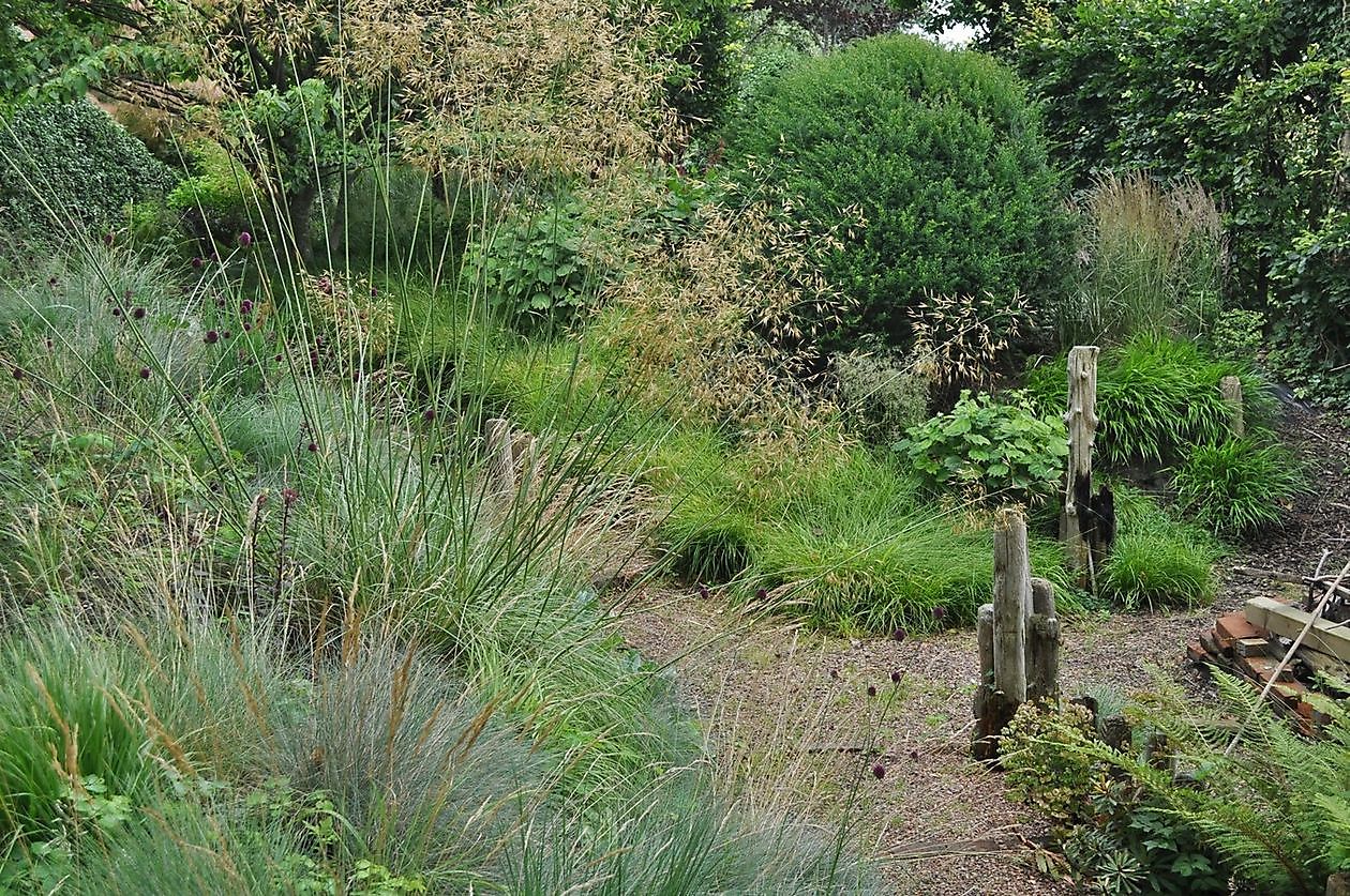 Kwekerij en Kijktuin Aan de Dijk - Het Tuinpad Op / In Nachbars Garten