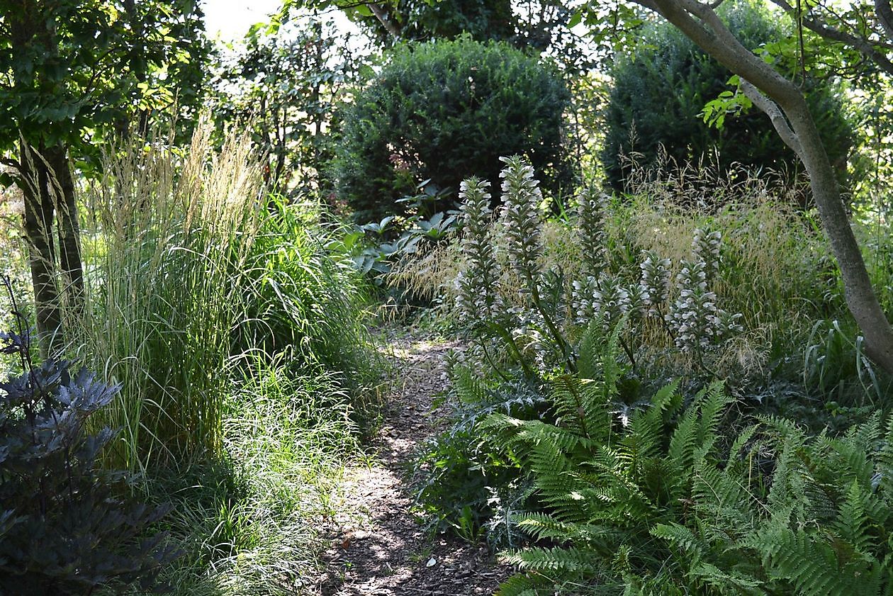 Kwekerij en Kijktuin Aan de Dijk - Het Tuinpad Op / In Nachbars Garten