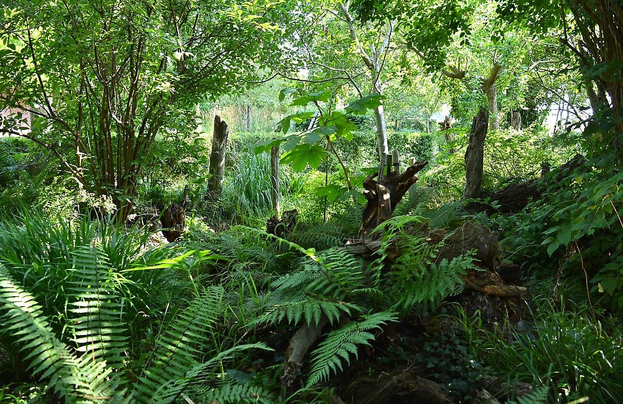 Kwekerij en Kijktuin Aan de Dijk - Het Tuinpad Op / In Nachbars Garten