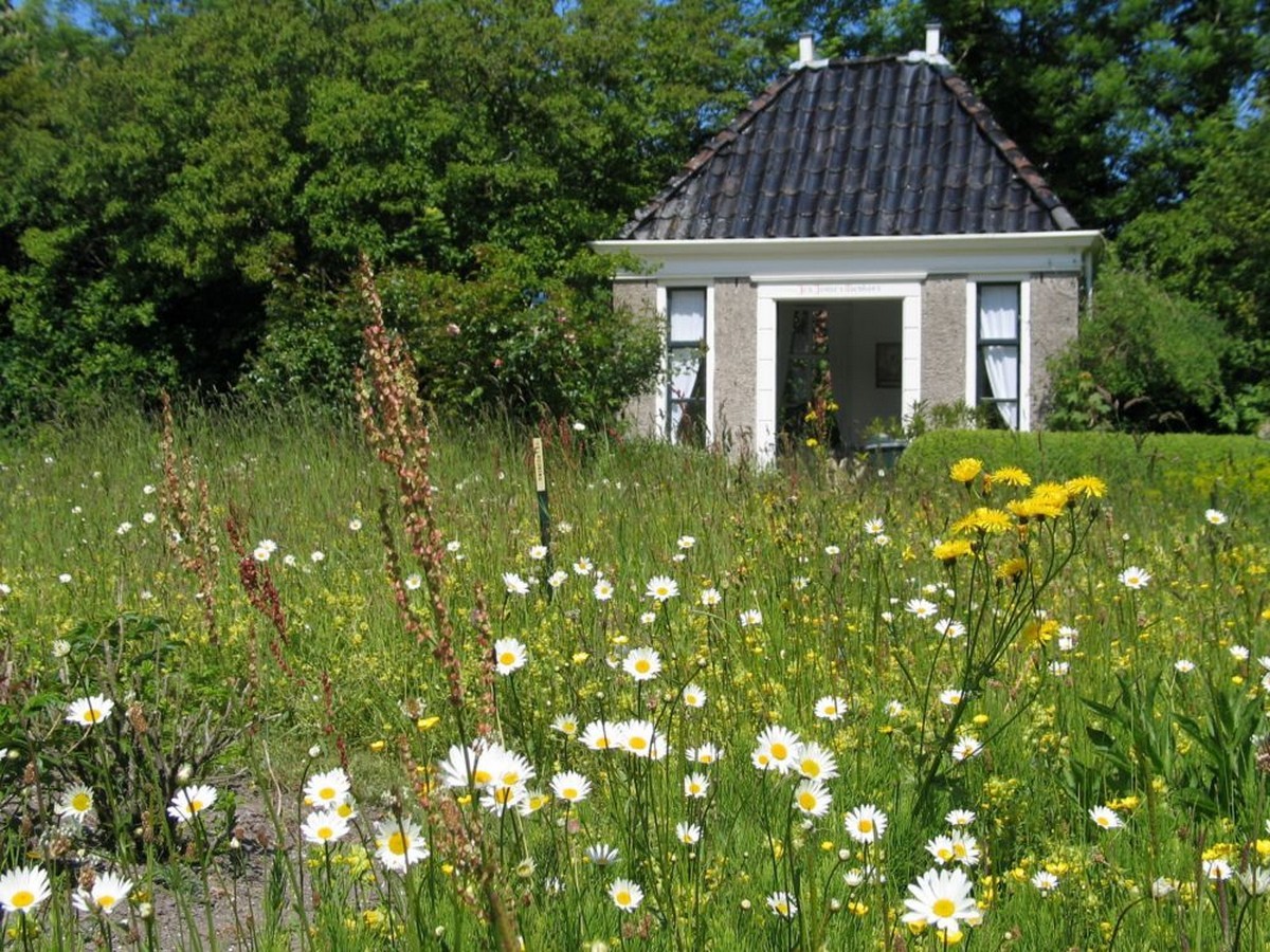 Domies Toen - Het Tuinpad Op / In Nachbars Garten