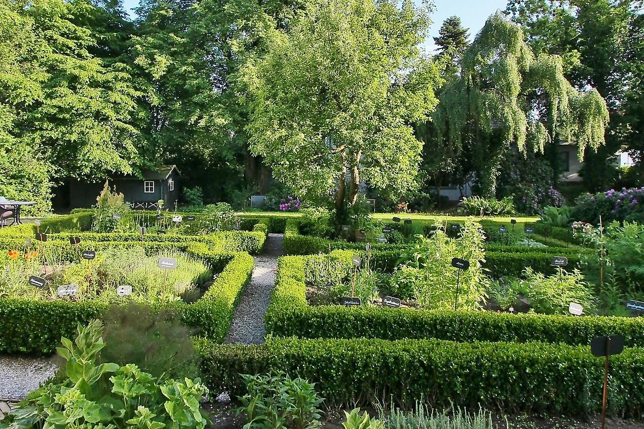 Kögel-Willms-Heilpflanzengarten - Het Tuinpad Op / In Nachbars Garten