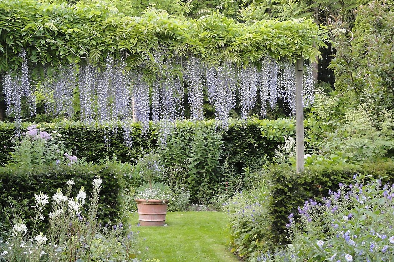 De Eexterhof - Het Tuinpad Op / In Nachbars Garten