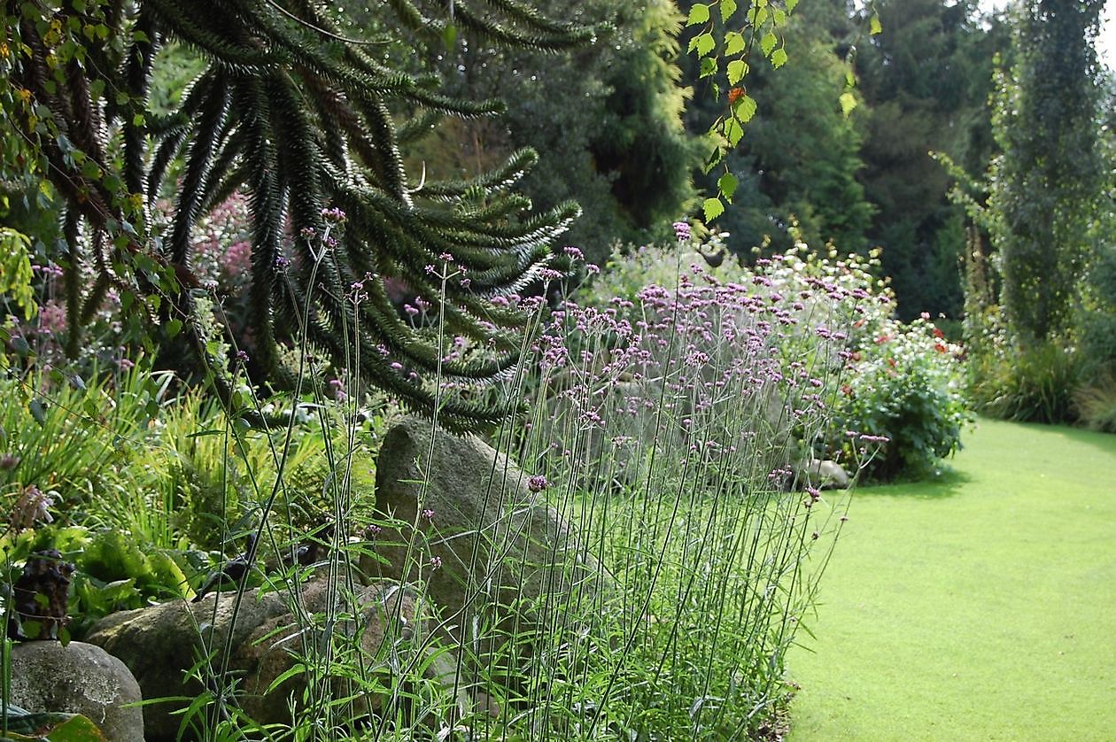 The Stonefarm - Het Tuinpad Op / In Nachbars Garten