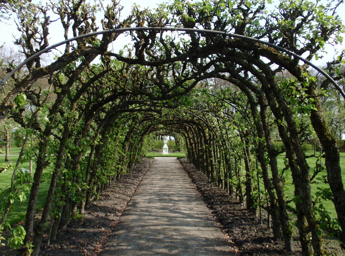 Menkemaborg - Het Tuinpad Op / In Nachbars Garten