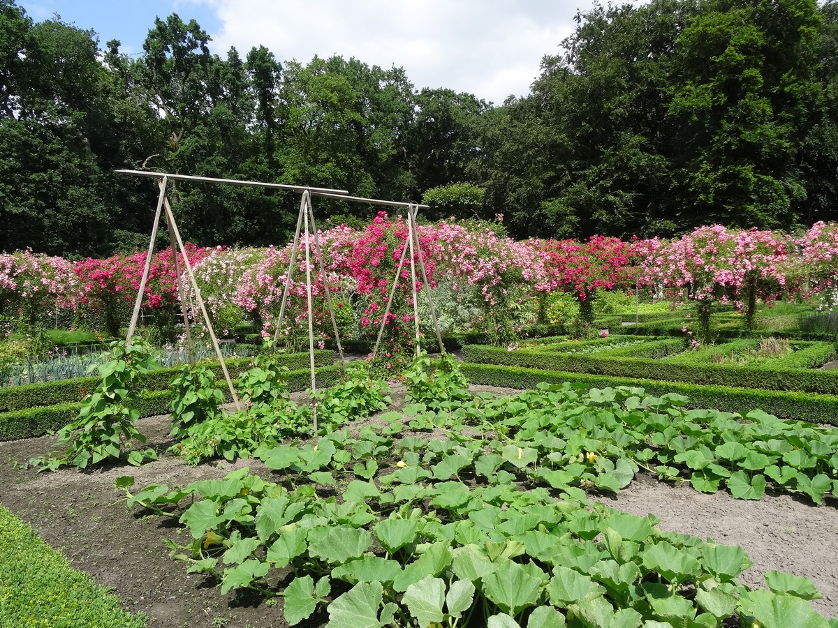 Menkemaborg - Het Tuinpad Op / In Nachbars Garten