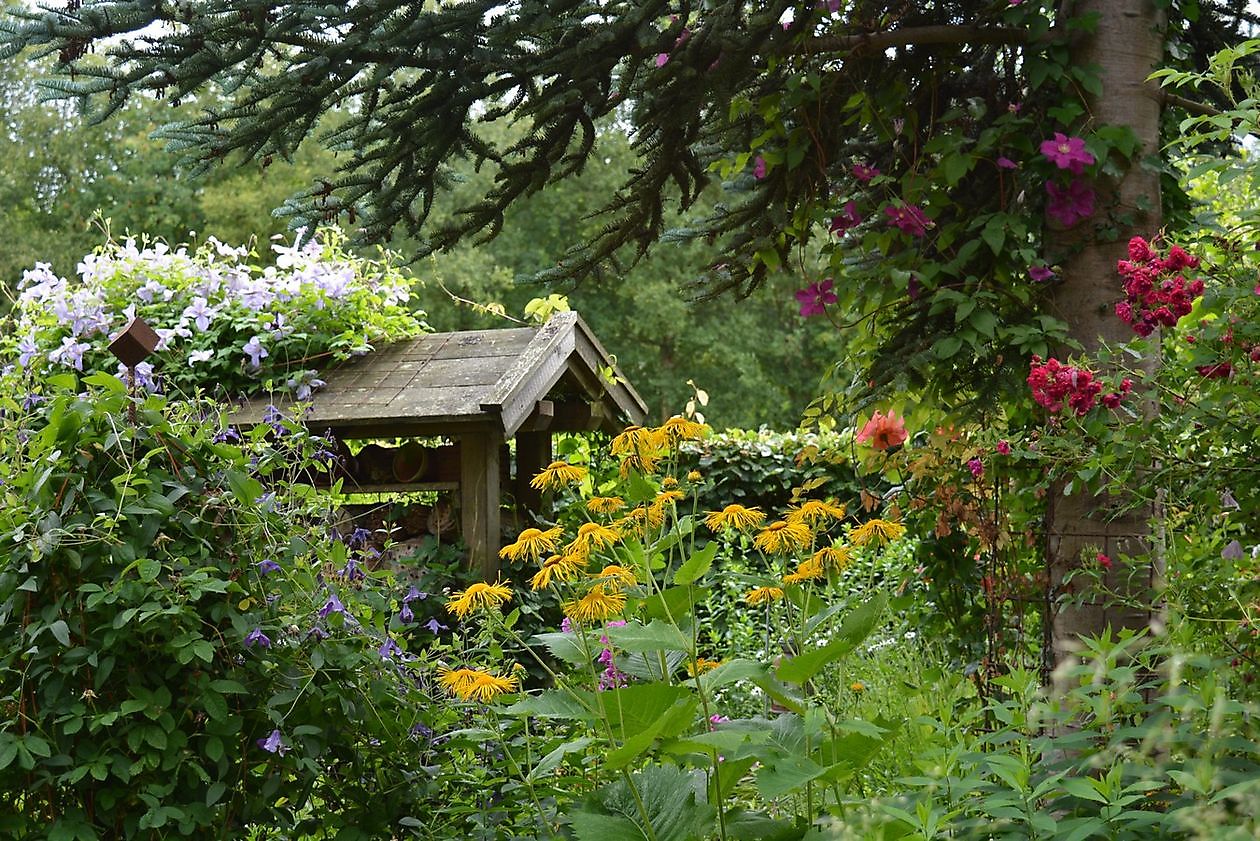 Moorjuwel - Het Tuinpad Op / In Nachbars Garten