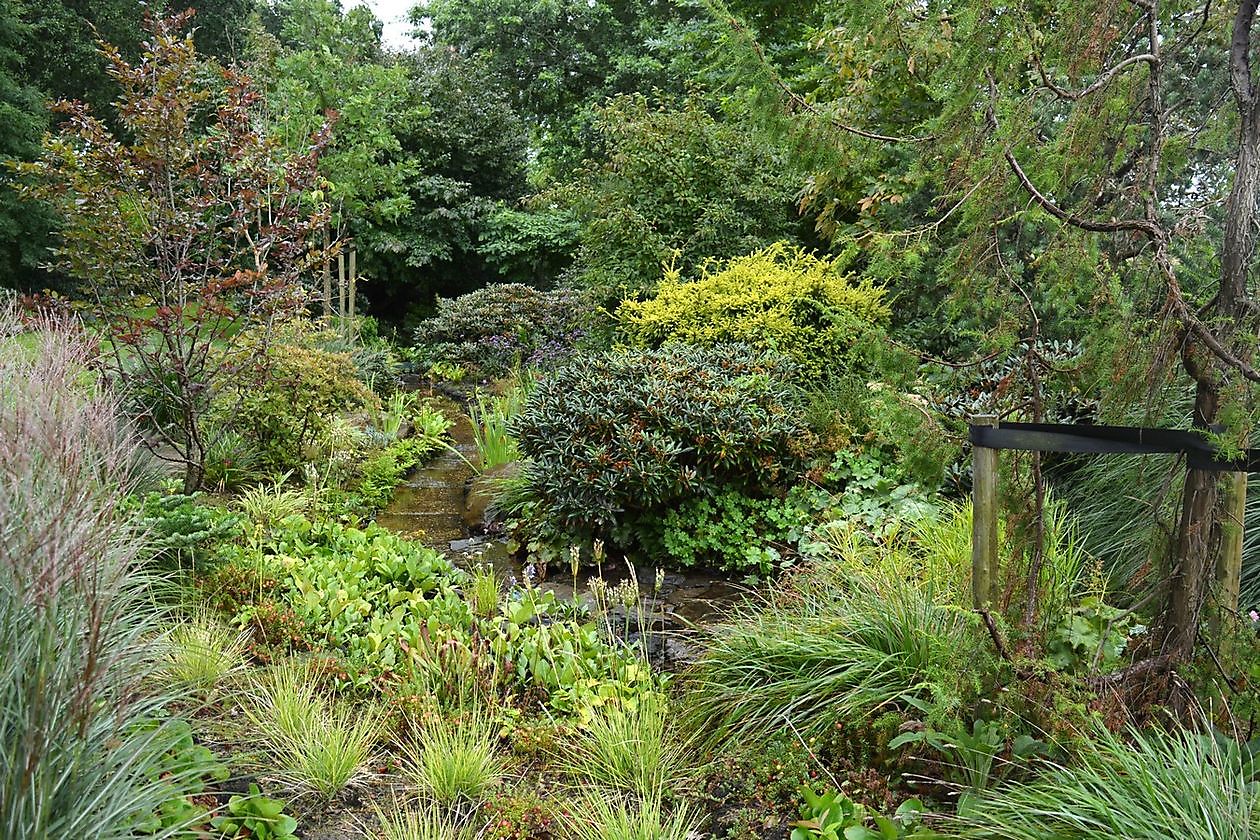 Arboretum Westeresch - Het Tuinpad Op / In Nachbars Garten